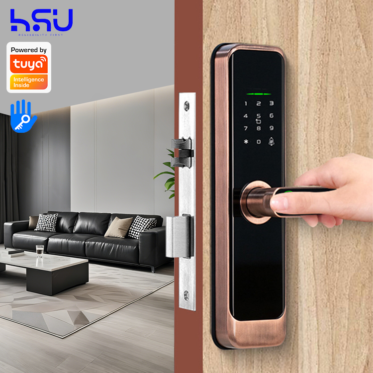 Digital Smart Doorlock Passcod - Home Security Doors 评论和价格