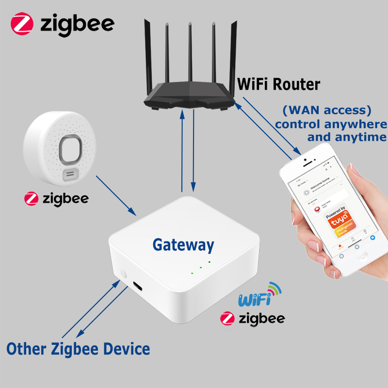 Smart Water Leak Detector Work - Home Security Options 评论和价格